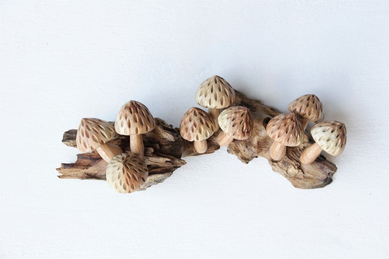 Wooden Mushroom Wall Décor