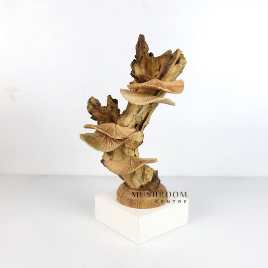 Wooden Oyster Mushroom Art, Oyster Mushroom Carving, Mushroom for Table Deco, Rustic, Unique Mushroom, Handmade Gift, Wedding, Birthday Gift