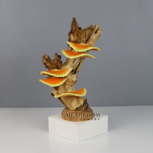 Wooden Oyster Mushroom Deco, Hand-Painted Mushroom, Mushroom Art, Wood Carving, Handmade, Rustic, Gift For Her, Table Deco, Birthday Gift