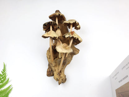 Wooden Mushroom Wall Decor