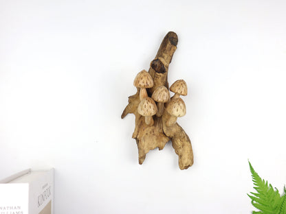 Magic Mushroom Wall Decor