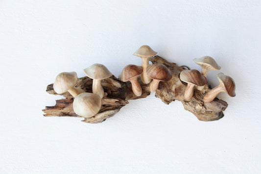 Wooden Mushroom Wall Hanging